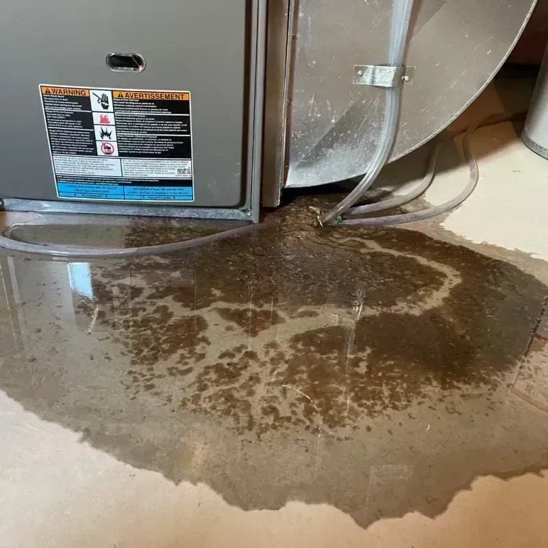 Appliance Leak Cleanup in East Gaffney, SC